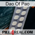 Dao Of Pao 08